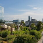 Bauzentrum München Führung: Photovoltaik über Grün – Dachgarten und Dachterrasse mit Photovoltaik