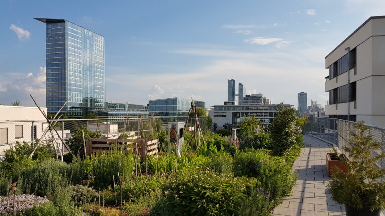 Bauzentrum München Führung: Photovoltaik über Grün – Dachgarten und Dachterrasse mit Photovoltaik