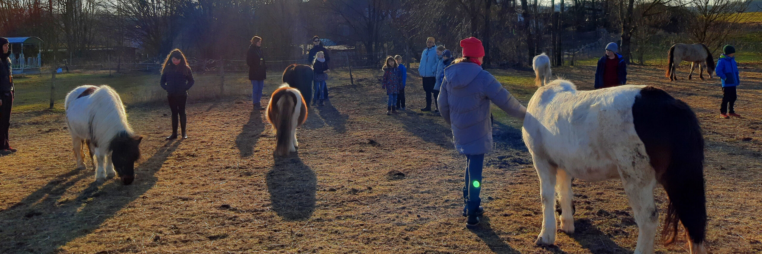 Anklicken für größere Ansicht. Anklicken für größere Ansicht.