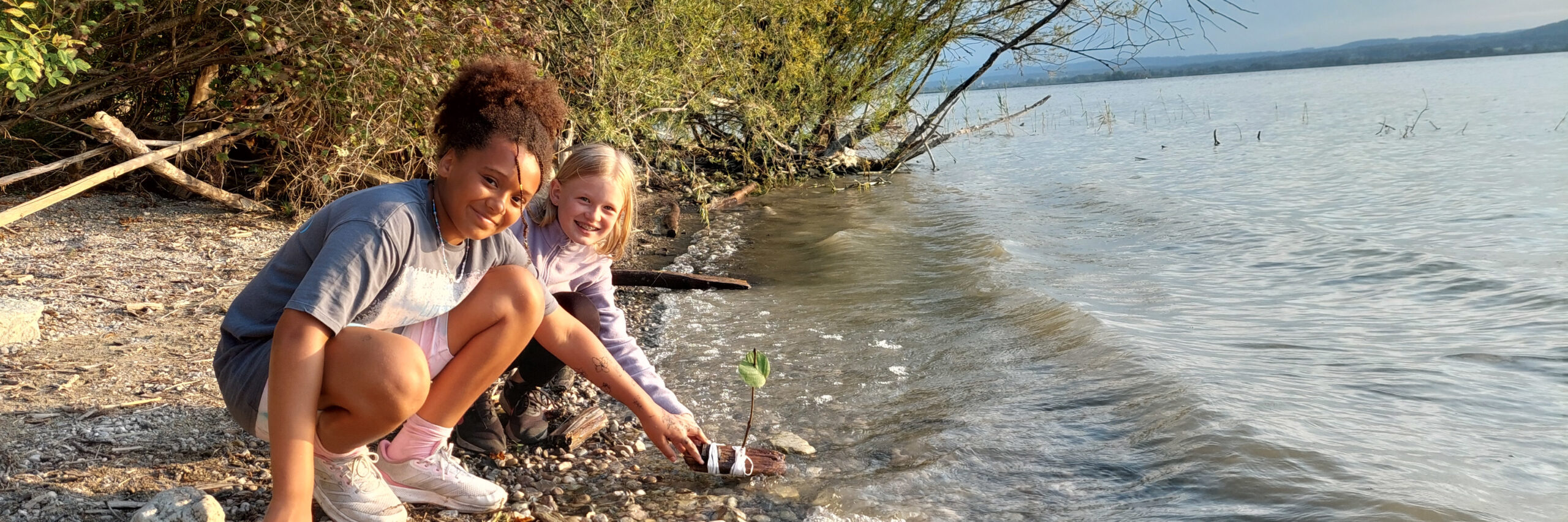 Anklicken für größere Ansicht. Anklicken für größere Ansicht.