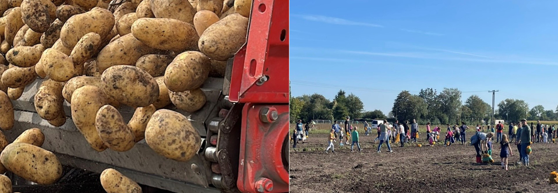 Anklicken für größere Ansicht. Anklicken für größere Ansicht.