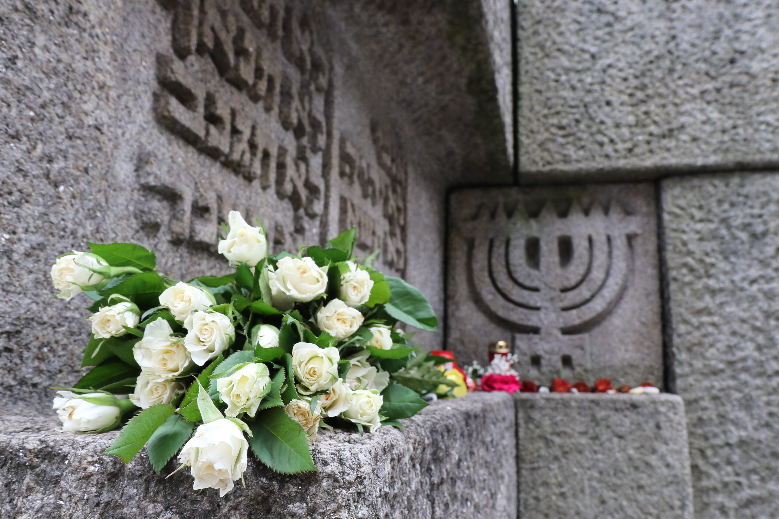 Anklicken für größere Ansicht. Anklicken für größere Ansicht.